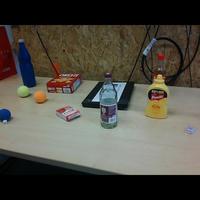 Dataset Image