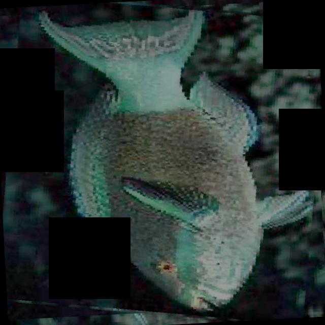 Dataset Image