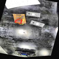 Dataset Image