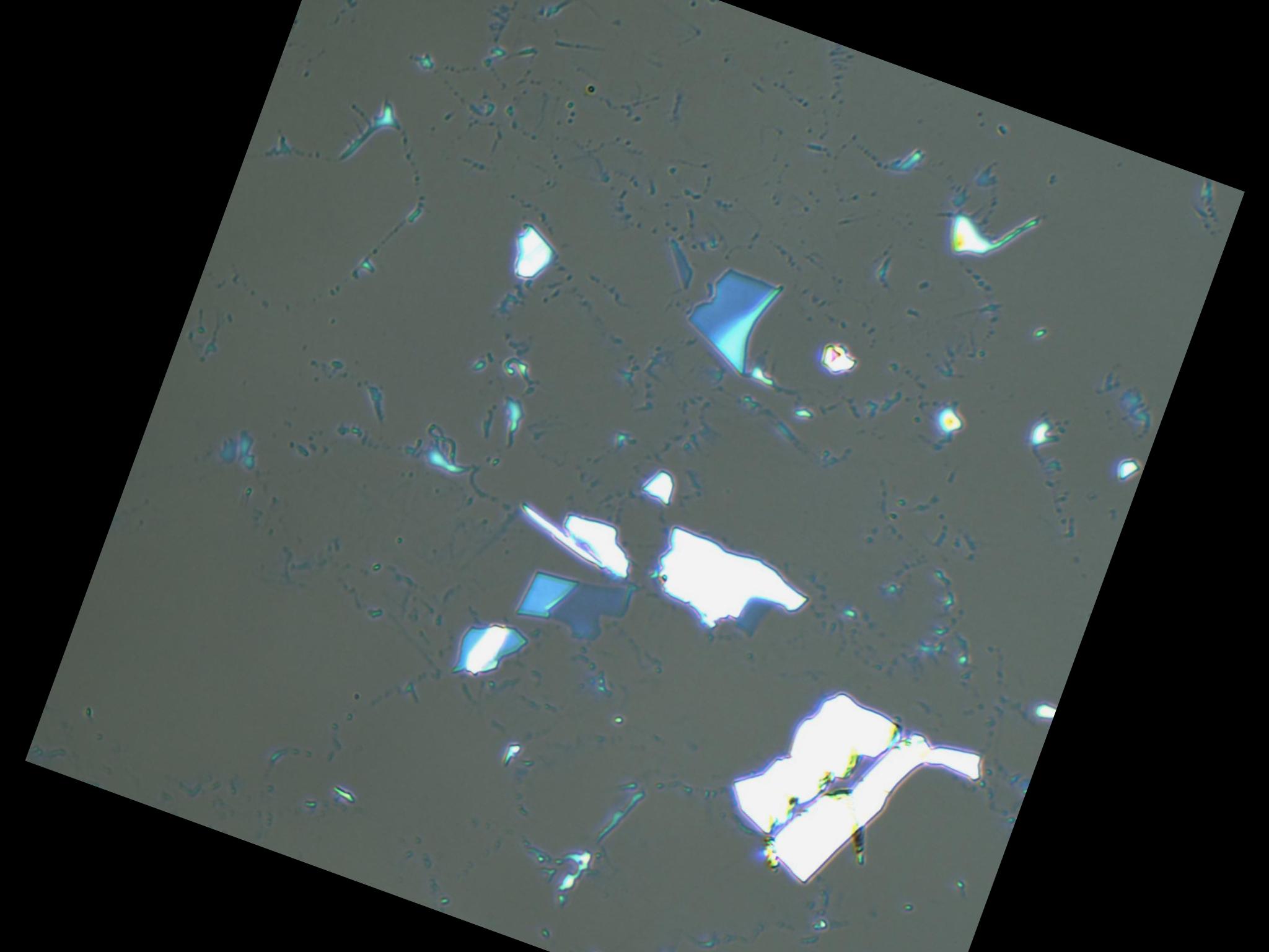 Dataset Image