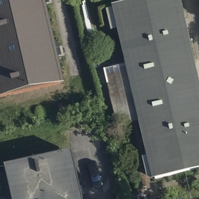 Dataset Image