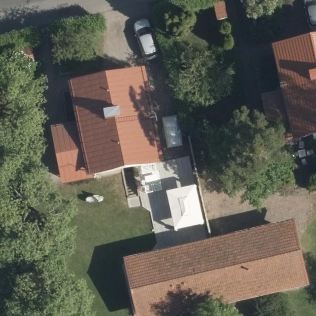 Dataset Image