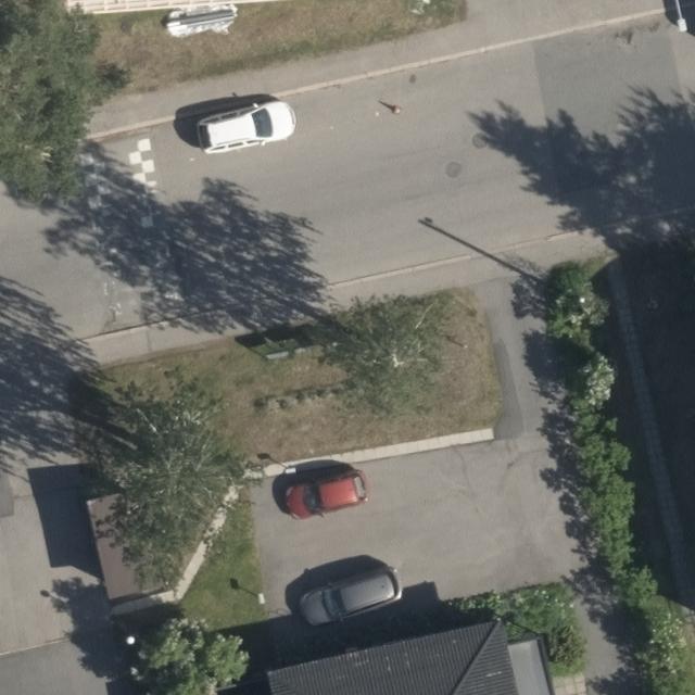 Dataset Image