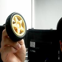 Dataset Image