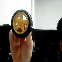 Dataset Image