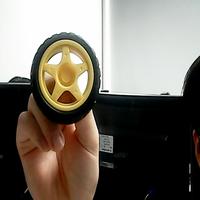 Dataset Image