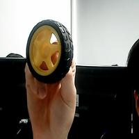 Dataset Image