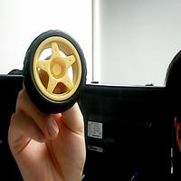 Dataset Image
