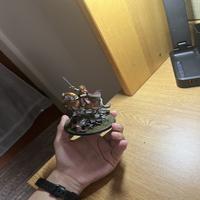Dataset Image