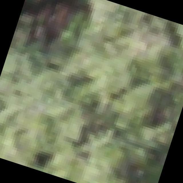 Dataset Image