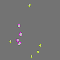 Annotation Visualization