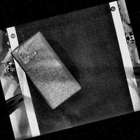 Dataset Image