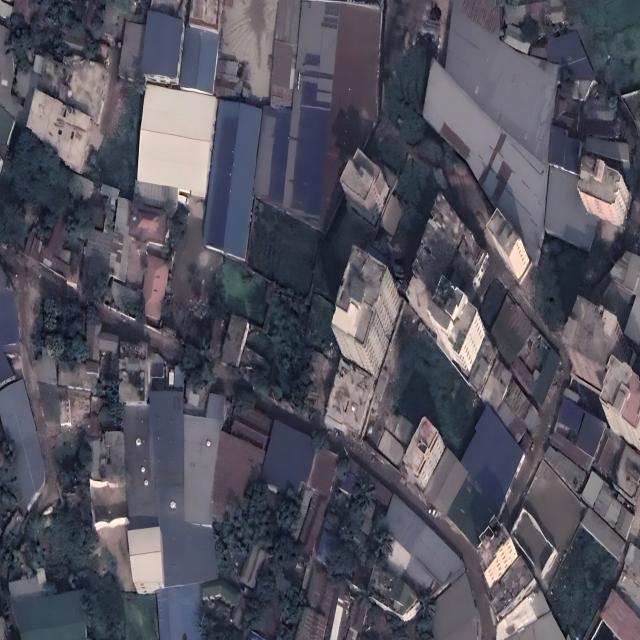 Dataset Image
