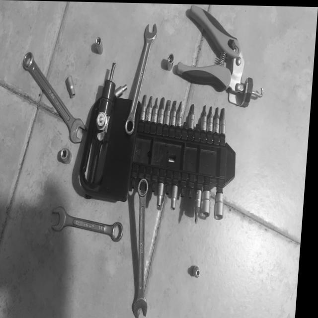Dataset Image