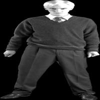 Dataset Image
