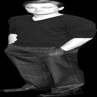Dataset Image