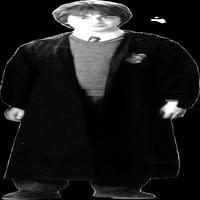 Dataset Image