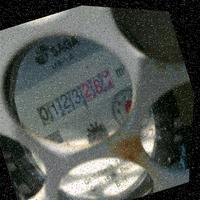 Dataset Image