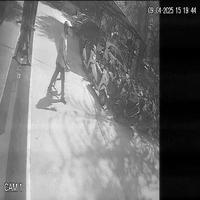 Dataset Image