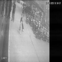 Dataset Image