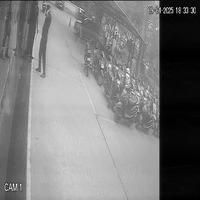Dataset Image