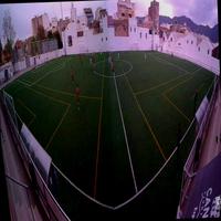 Dataset Image