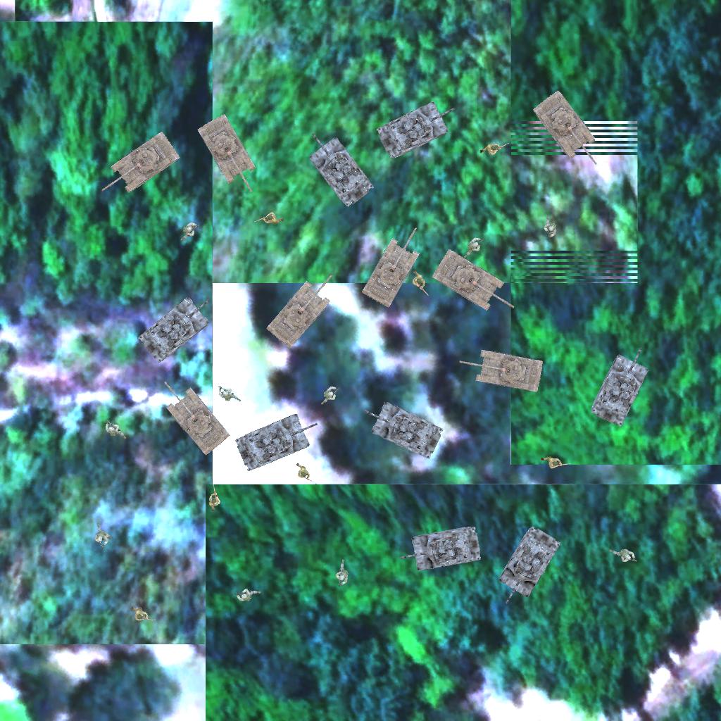 Dataset Image