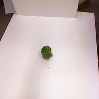 Dataset Image