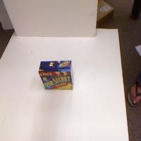Dataset Image