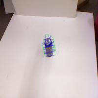 Dataset Image
