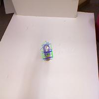 Dataset Image