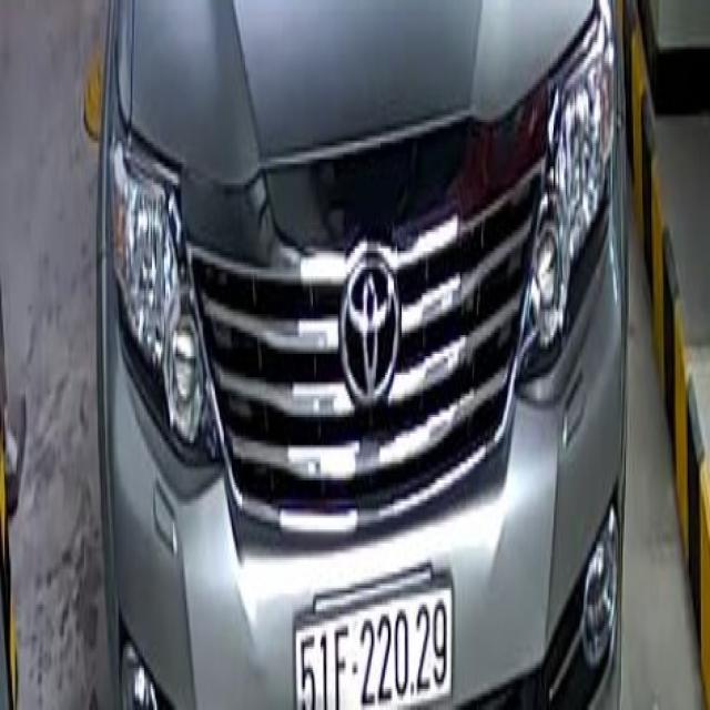 Dataset Image
