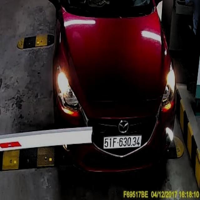 Dataset Image