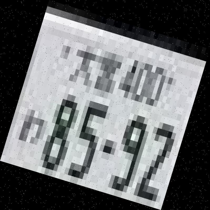 Dataset Image