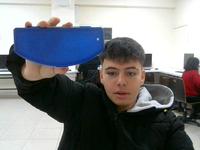 Dataset Image