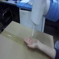 Dataset Image