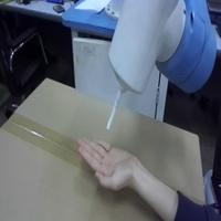 Dataset Image