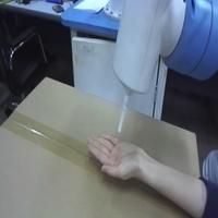 Dataset Image