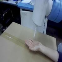 Dataset Image