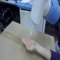 Dataset Image