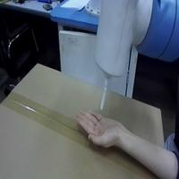 Dataset Image