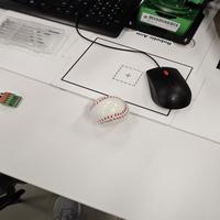 Dataset Image
