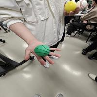 Dataset Image