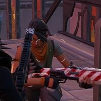 Dataset Image