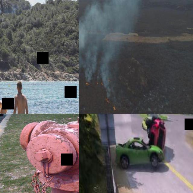 Dataset Image