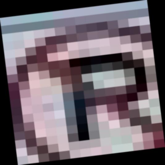 Dataset Image