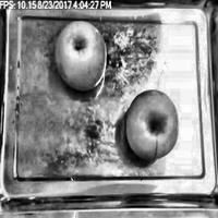 Dataset Image