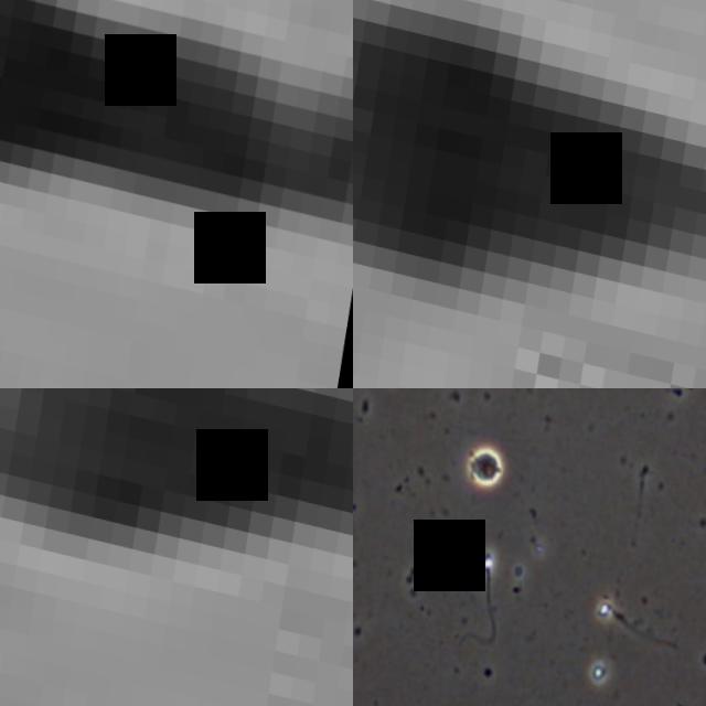 Dataset Image