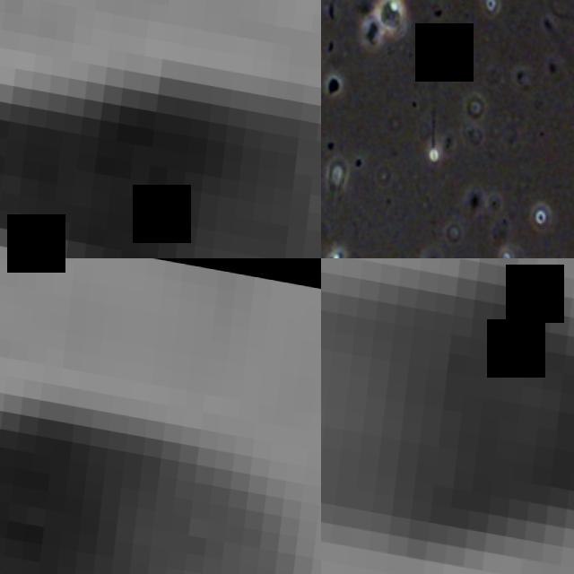 Dataset Image