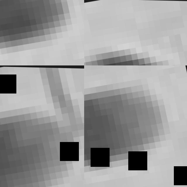 Dataset Image